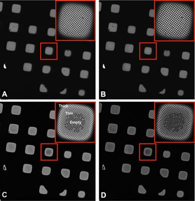 Light ‘Em up: Efficient Screening of Gold Foil Grids in Cryo-EM